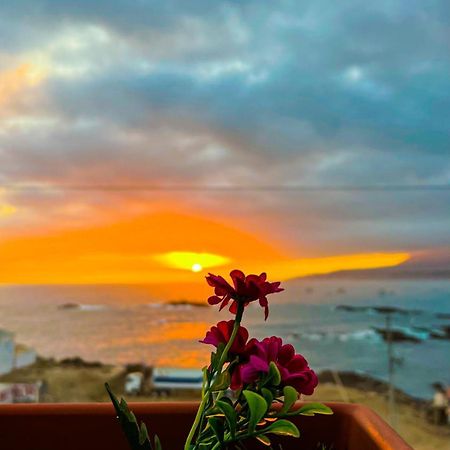Hotel Aloha Chala المظهر الخارجي الصورة